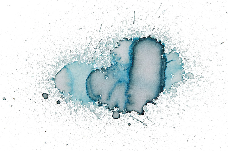 Diamine Celadon Cat - 80ml Bottled Ink