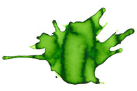 Diamine Meadow - Ink Sample