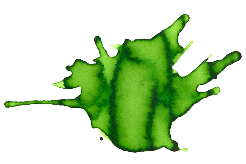 Diamine Meadow - Ink Sample