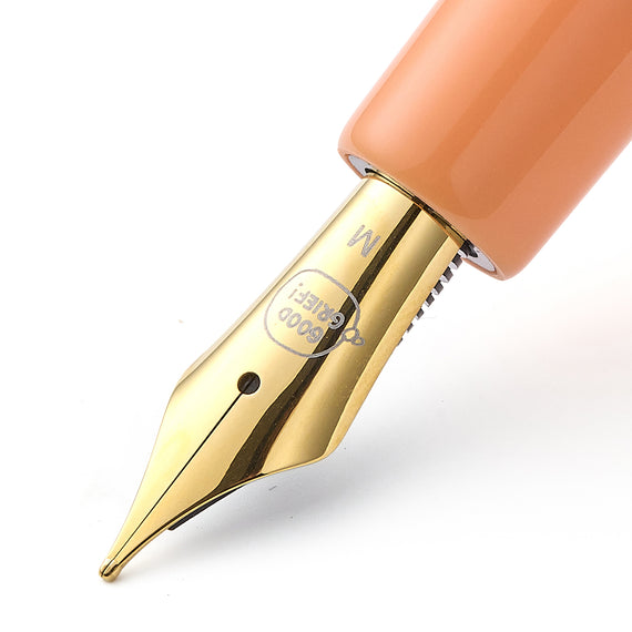 Esterbrook X Peanuts 75th Anniversary Edition Fountain Pen - Sally