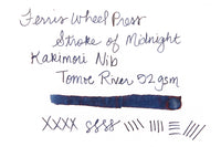 Ferris Wheel Press Stroke of Midnight - 38ml Bottled Ink