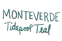 Monteverde Tidepool Teal - 30ml Bottled Ink