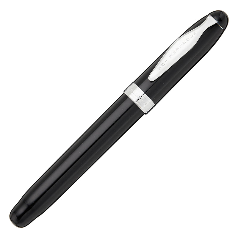 Noodler's Ahab Flex Fountain Pen - Black
