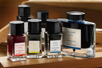 Pilot Iroshizuku Fuyu-gaki - 15ml Bottled Ink