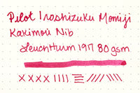 Pilot Iroshizuku Momiji - Ink Sample