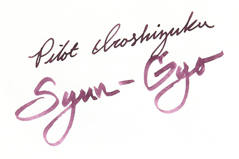 Pilot Iroshizuku Syun-gyo - 15ml Bottled Ink