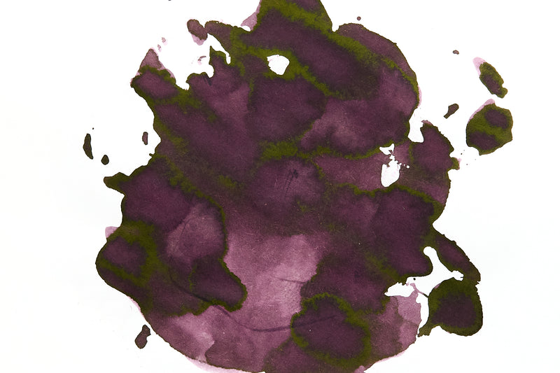 Pilot Iroshizuku Syun-gyo - 15ml Bottled Ink