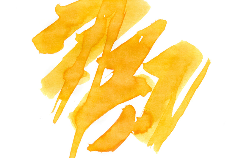 Pilot Iroshizuku To-ro - 15ml Bottled Ink