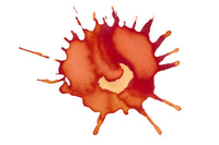 Pilot Iroshizuku Yu-yake - 50ml Bottled Ink