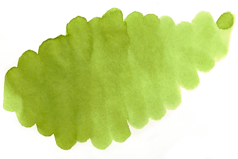 Pilot Iroshizuku Chiku-rin - 15ml Bottled Ink