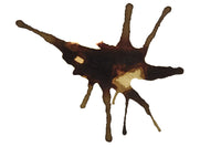 Platinum Classic Sepia Black - 60ml Bottled Ink