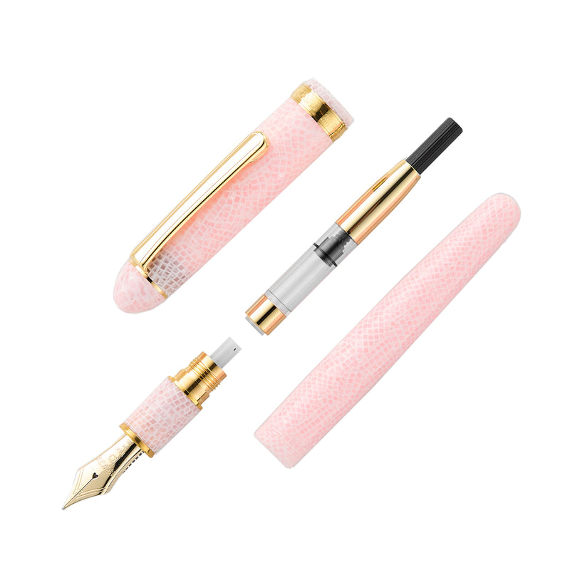 Platinum #3776 Celluloid Fountain Pen - Cherry Blossom