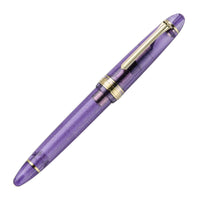 Sailor 1911L Pen of the Year Fountain Pen - Grape Expectations