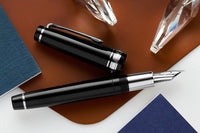 Sailor Pro Gear Fountain Pen - Ginza Silver Matte Grip (Limited Edition)