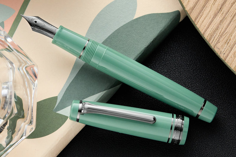 Sailor Pro Gear Fountain Pen - Area 51 (Limited Edition)