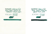 Monteverde California Teal - 30ml Bottled Ink