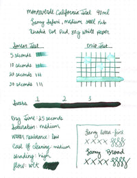 Monteverde California Teal - 90ml Bottled Ink