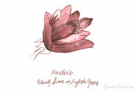 Noodler's Black Swan in English Roses - Ink Sample