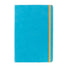 Rhodia Rhodiarama A5 Webnotebook - Turquoise, Lined