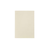 Traveler's Notebook Passport Refill 005 - Light Paper Notebook