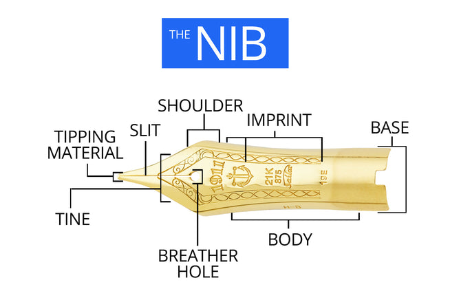Infographic with labeled parts of a fountain pen nib