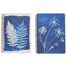 Clairefontaine Cyanotype A5 Wirebound Notebook - Lined