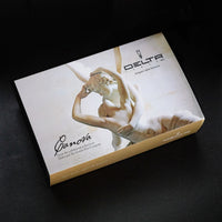 Delta CANOVA Fountain Pen (Special Edition)