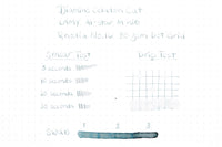 Diamine Celadon Cat - Ink Sample