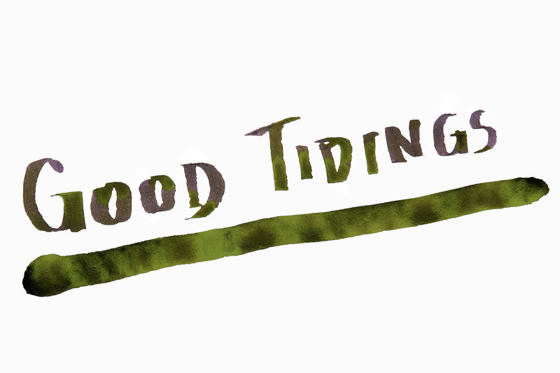 Diamine Good Tidings - 50ml Bottled Ink