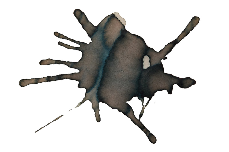 Diamine Wishing Tree - 50ml Bottled Ink