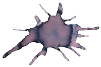 Diamine Lady Grey - 30ml Bottled Ink