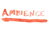 Diamine Ambience - Ink Sample