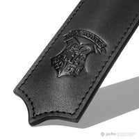 Ferris Wheel Press Harry Potter Joule Fountain Pen & Ink Set  - Ravenclaw