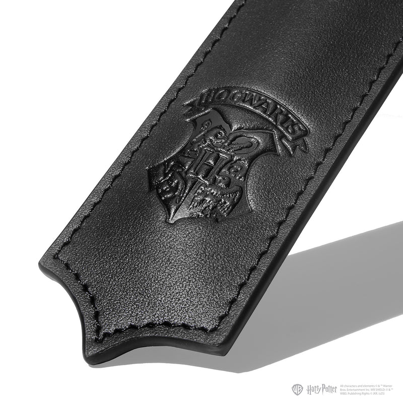 Ferris Wheel Press Harry Potter Joule Fountain Pen & Ink Set  - Ravenclaw