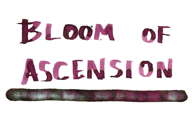 Ferris Wheel Press Bloom of Ascension - Ink Sample