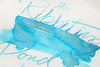 Ferris Wheel Press The Ribbiting Pond - 20ml Bottled Ink