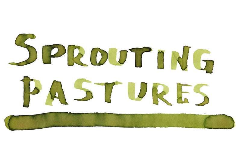 Ferris Wheel Press Sprouting Pastures - 20ml Bottled Ink
