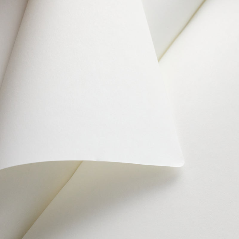 Goulet Notebook w/ 52gsm Tomoe River Paper - Passport TN, Blank