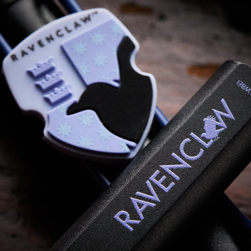 LAMY safari Harry Potter Fountain Pen - Ravenclaw (Special Edition)