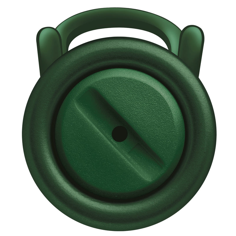 LAMY AL-star Fountain Pen - pine (Special Edition)