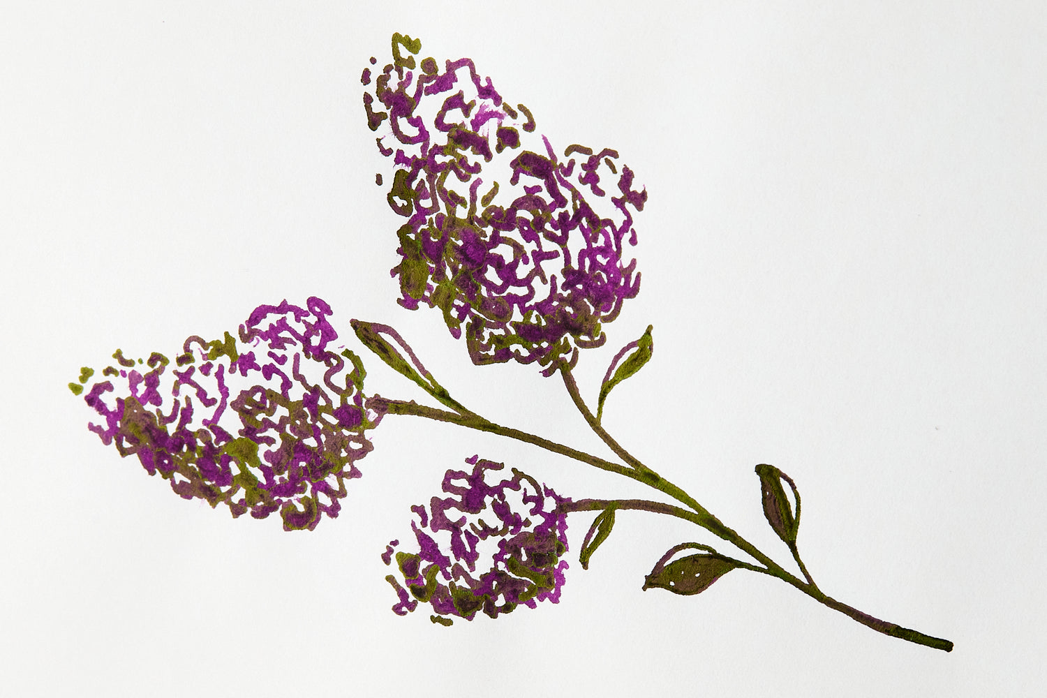 LAMY dark lilac - Ink Sample - The Goulet Pen Company