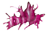 Monteverde Innova Fountain Pen & Ink Set - Hot Pink (Limited Edition)