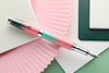 Monteverde Invincia Deluxe Fountain Pen - Watermelon Ombré (Special Edition)