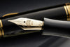 Nettuno Superba Celluloid Fountain Pen