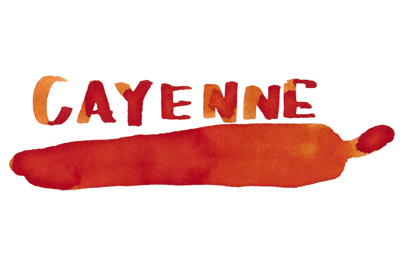 Noodler's Cayenne - 3oz Bottled Ink