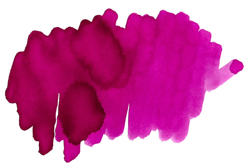 Noodler's Chuckie Berry - 3oz Bottled Ink (Special Edition)