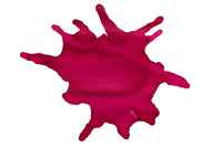 Noodler's Rose Coral - Ink Sample