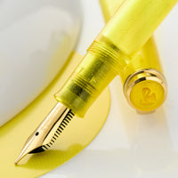 Pelikan M200 Fountain Pen & Ink Gift Set - Pyrite (Special Edition)