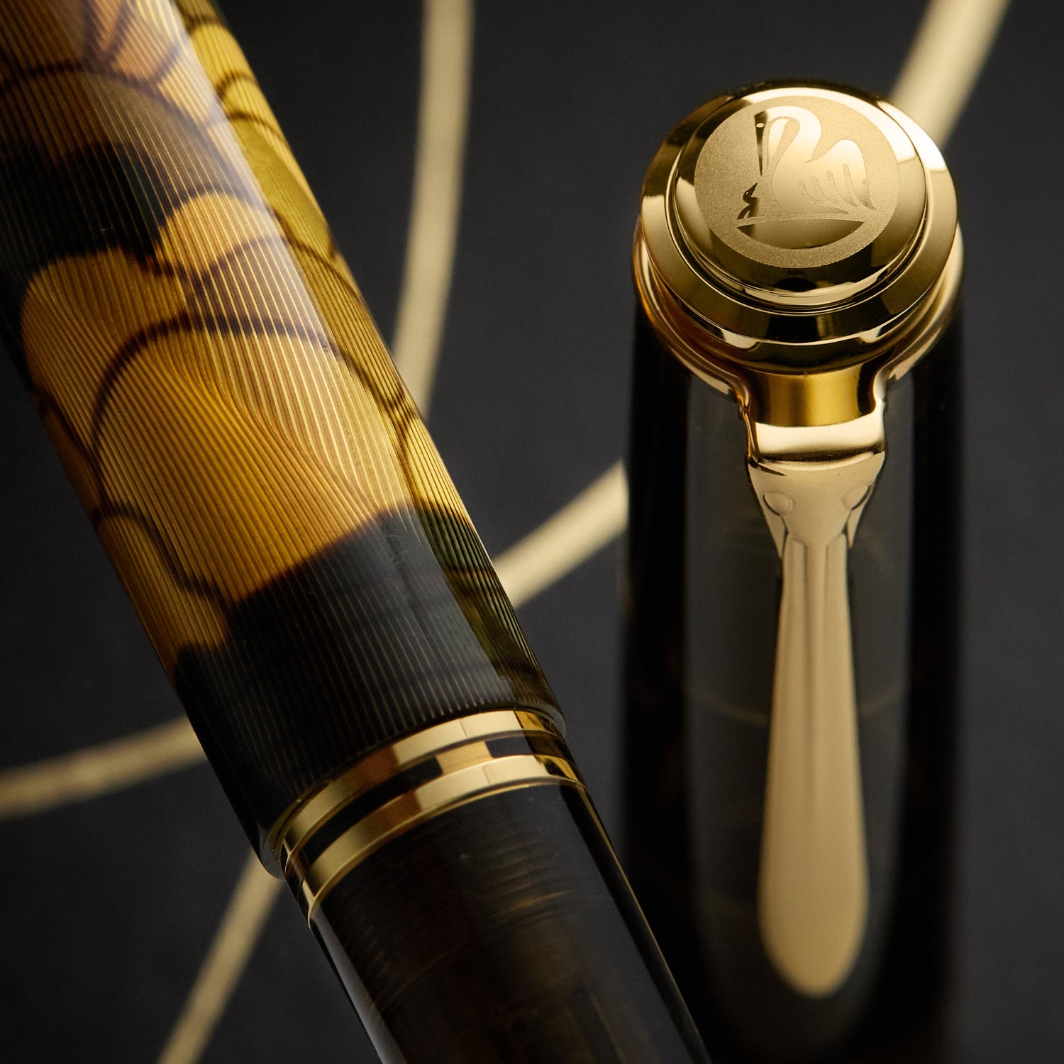 Pelikan M600 Fountain Pen - Georg Tippel (Special Edition) - The