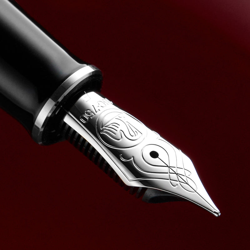 Pelikan M805 Fountain Pen - Metal Sleeve (Special Edition)